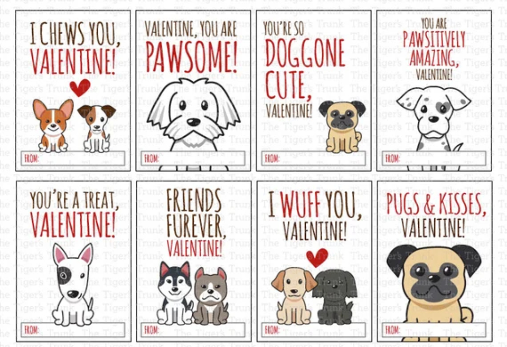 Adorable Animal Friends Valentine's Cards for Kids