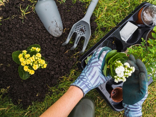 Gardening Gifts For Men