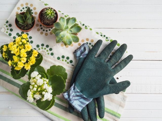 Floral Patterned Garden Gloves