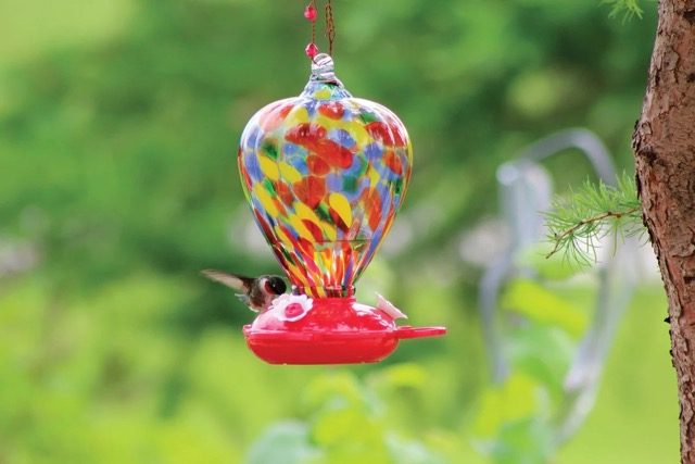 Hummingbird Feeder with Decorative Glass Design