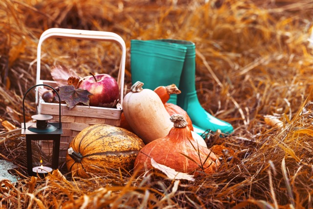 Outdoor Adventure Basket