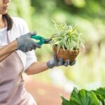 gardening gifts for women