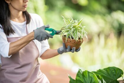 gardening gifts for women