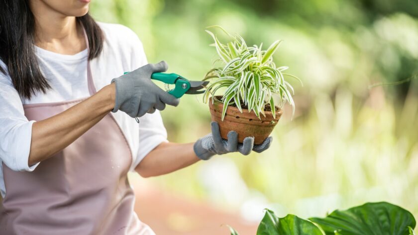 gardening gifts for women