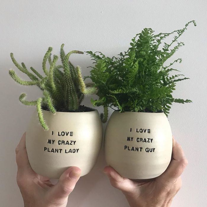 Punny Plant Pots Of Best Gifts For Plant Lovers