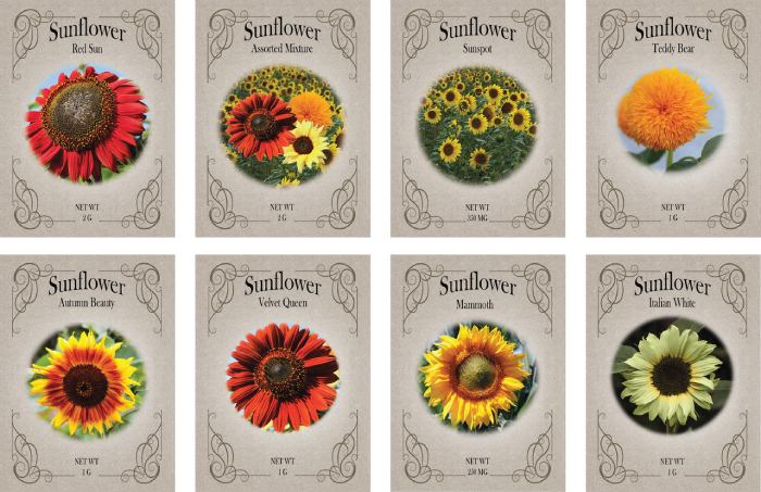 Seed Packets Assortment Of Best Plant Lovers Gifts