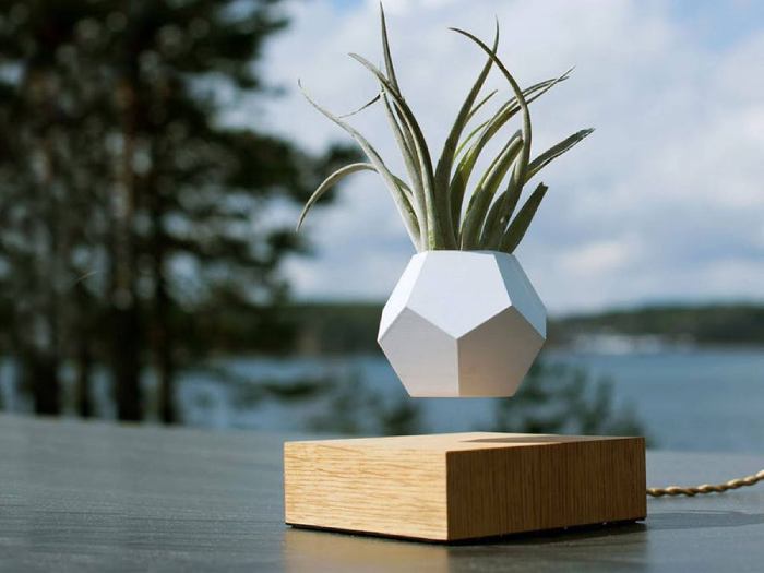 Levitating Plant Pot Of Best Gifts For Lovers Plant