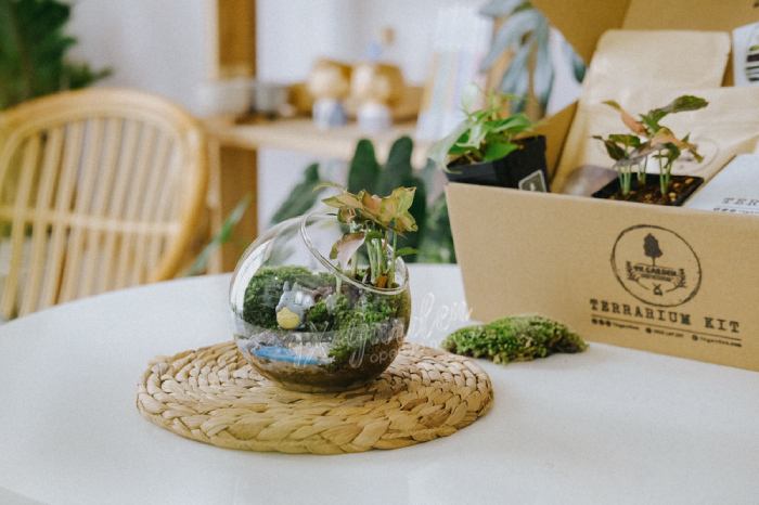 DIY Terrarium Kit As science gift