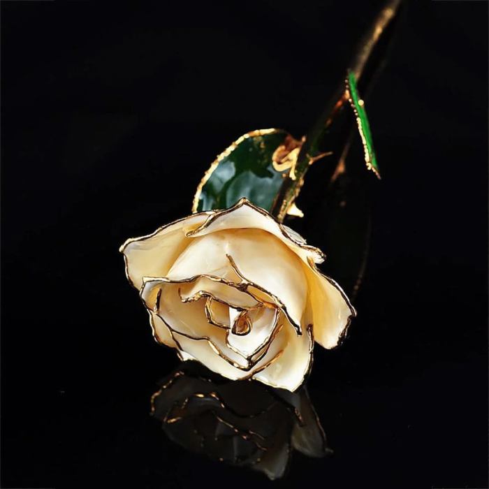 Gold-Dipped Rose As Presents For Flower Lovers