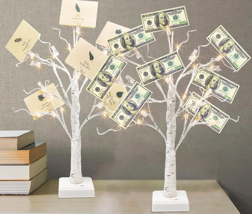 Money Tree Gift Ideas for Kid's Birthday