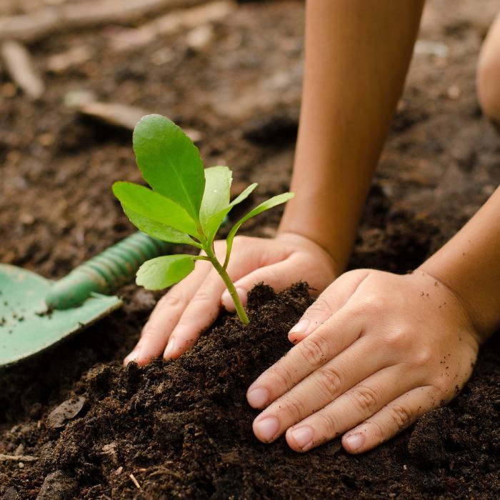 Planting For Easter-Themed Egg Basket