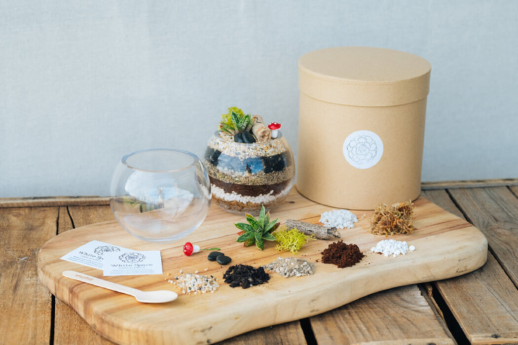 DIY Terrarium Kit Gifts for Mother's Day for Daughter-in-law