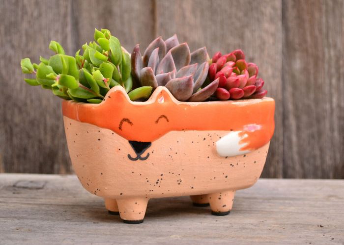 Handmade Succulent Planter As Mothers Day Ideas For Coworkers