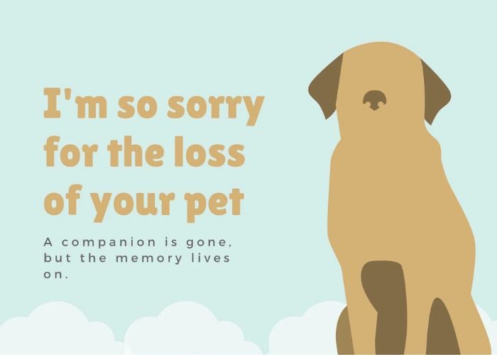 Rest In Peace Sayings For Pet