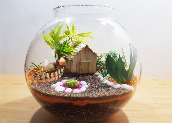 DIY Terrarium As Gifts For Husband Birthday