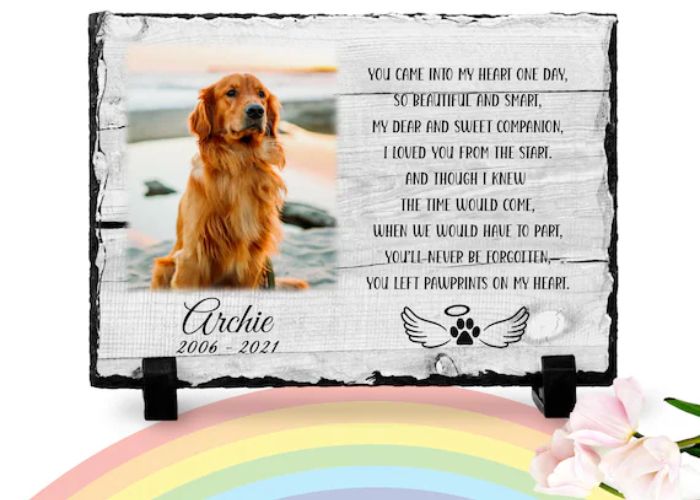 Sayings Final Goodbye Dog Death Quotes Rainbow Bridge