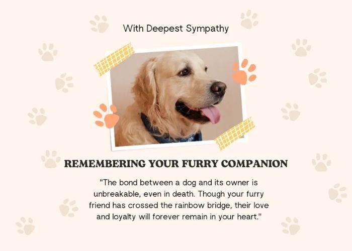 Final Goodbye Dog Death Quotes