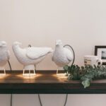 gifts for bird lovers