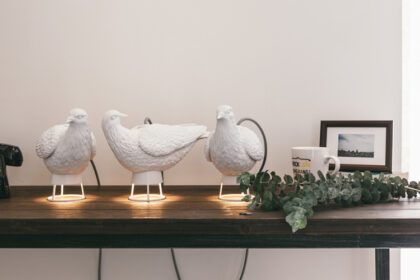 gifts for bird lovers